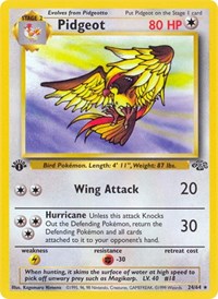 Pidgeot 24