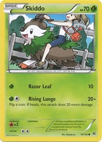 Skiddo 16