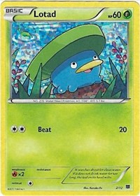Lotad 2