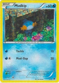 Mudkip 5