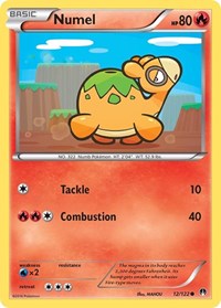 Numel 12