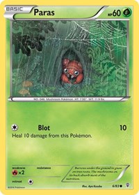 Paras 6