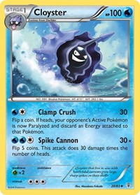 Cloyster 20