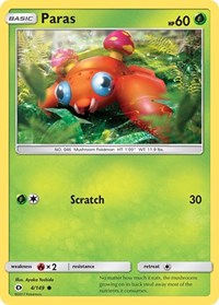 Paras 4