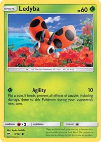 Ledyba 9