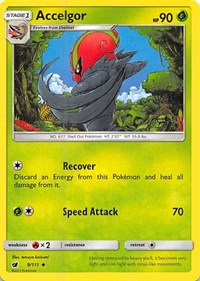 Accelgor 9
