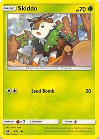 Skiddo 10