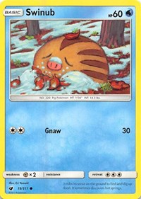 Swinub 19