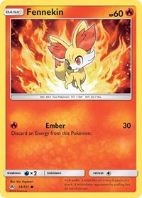 Fennekin 14