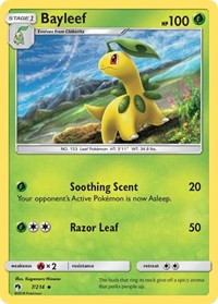 Bayleef 7