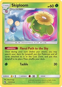 Skiploom 13