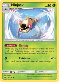 Ninjask 30