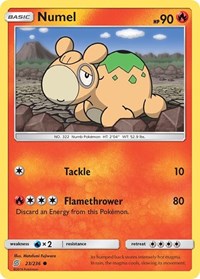 Numel 23