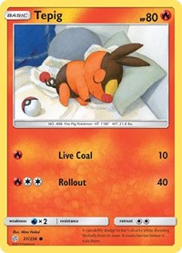 Tepig 31