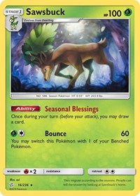 Sawsbuck 16