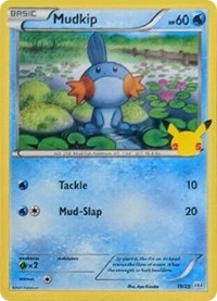 Mudkip 19
