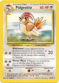 Pidgeotto 22
