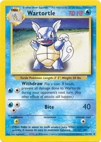 Wartortle 42