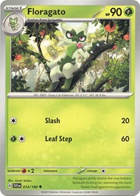 Floragato 014