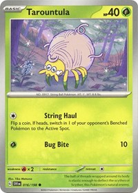 Tarountula 016