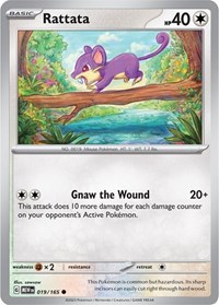 Rattata 019