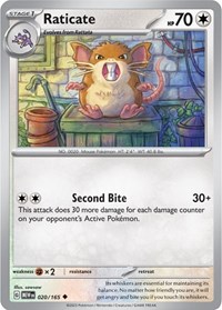 Raticate 020