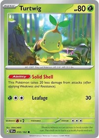 Turtwig 010