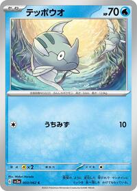 テッポウオ SV3a 003