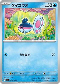 ケイコウオ SV7 020