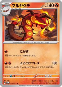 マルヤクデ SV5K 011