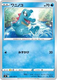 ワニノコ S8 020