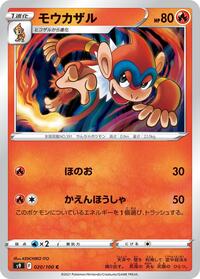 モウカザル S9 020