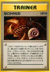 なにかの化石 PMCG3 046