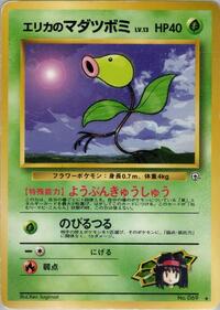 エリカのマダツボミ PMCG5 010