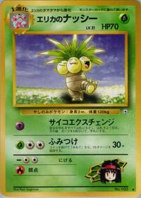 エリカのナッシー PMCG5 013
