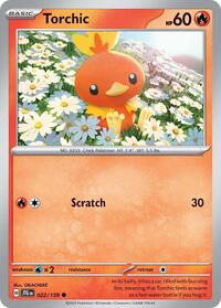Torchic 022