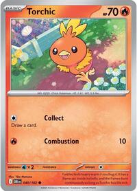 Torchic 040