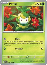 Petilil 006