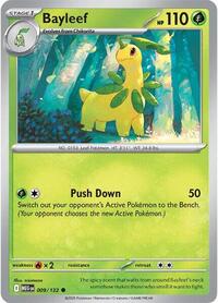 Bayleef 009