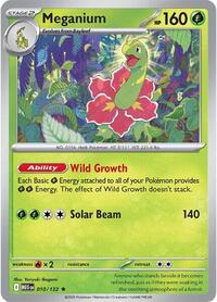 Meganium 010