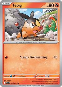 Tepig 029