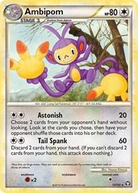 Ambipom 13