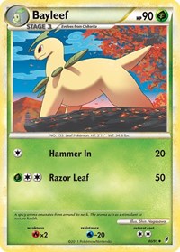 Bayleef 40