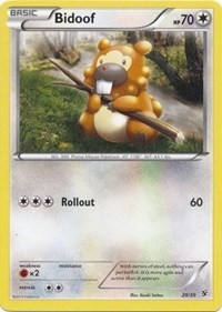 Bidoof 29