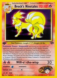 Brock's Ninetales 3