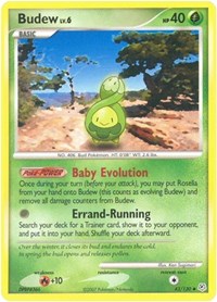 Budew 43