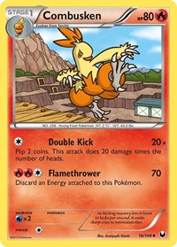 Combusken 16