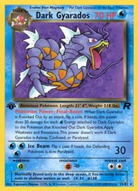 Dark Gyarados 25