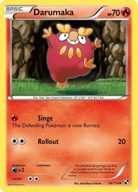 Darumaka 24