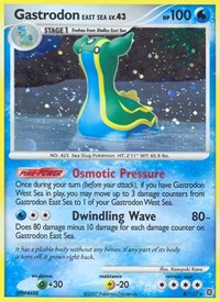 Gastrodon East Sea 8